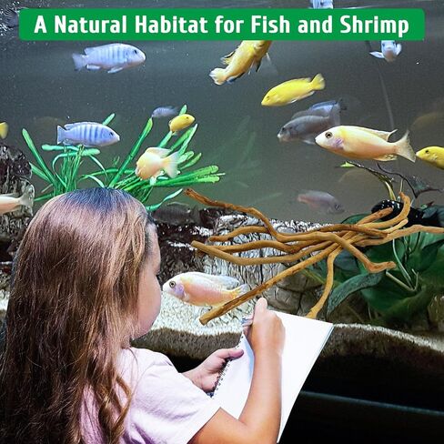 kathson Natural Driftwood for Aquarium, Red Moor Driftwood Mix 12''-16'' Long Driftwood for Decorations 100 g Aquarium Driftwood Assorted Shapes Natural Aquarium Decor Driftwood (150, Grams) in Saudi Arabia