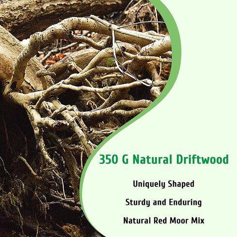 kathson Natural Driftwood for Aquarium, Red Moor Driftwood Mix 12''-16'' Long Driftwood for Decorations 100 g Aquarium Driftwood Assorted Shapes Natural Aquarium Decor Driftwood (150, Grams) in Saudi Arabia