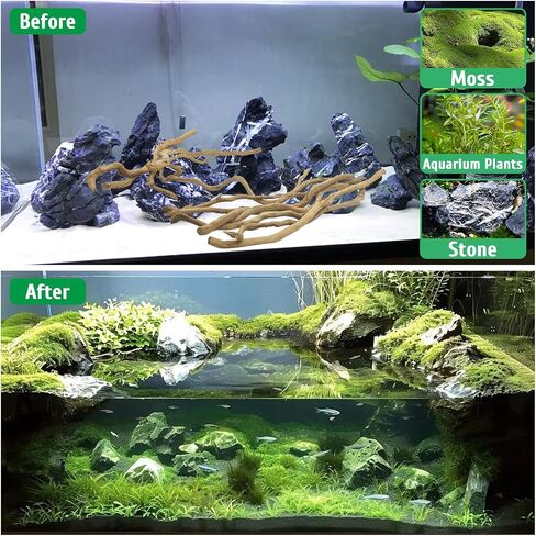 kathson Natural Driftwood for Aquarium, Red Moor Driftwood Mix 12''-16'' Long Driftwood for Decorations 100 g Aquarium Driftwood Assorted Shapes Natural Aquarium Decor Driftwood (150, Grams) in Saudi Arabia