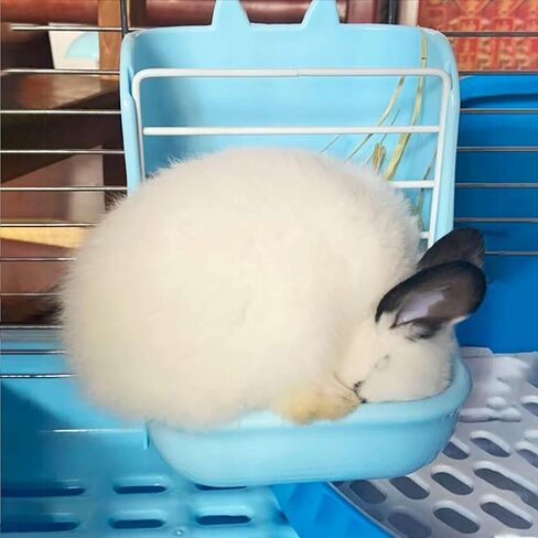 Guinea Pig Food Hay Feeder 2 in 1 Rabbit Hay Feeders Rack Indoor Hay Feeder for Rabbit Bunny Chinchilla Hamster(2PCS Blue&White) in Kuwait