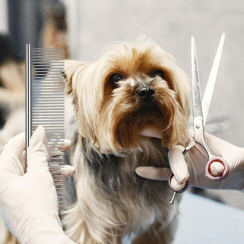 3PCS Dog Combs for Grooming Stainless Steel Metal Pet Comb for Knots, Mats & Loose Hair Removal,Pet Grooming Brush for for Dogs, Cats & Pets – Silver,7.4" in Kuwait