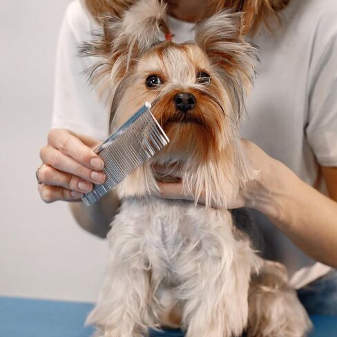 3PCS Dog Combs for Grooming Stainless Steel Metal Pet Comb for Knots, Mats & Loose Hair Removal,Pet Grooming Brush for for Dogs, Cats & Pets – Silver,7.4" in Kuwait