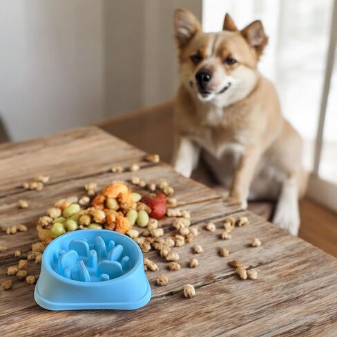 Anti-Slip Slow Feeder Dog Bowl for Small & Medium Dogs (15-50 lbs) - Anti-Choking, Puzzle Design, Interactive Feeder (Gentle Green) in Saudi Arabia