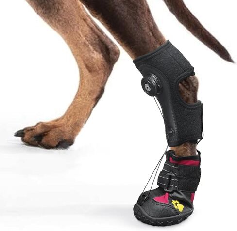 Strap-On Drop Foot Brace (No Knuckling Boot Brace) for Dogs— Corrective Dog Shoes to Safely Lift Toes for Treating Foot Issues, Arthritis, and improving Walking gait in Dogs(S) in Saudi Arabia