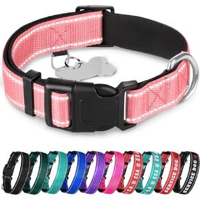 TECEUM Reflective Pet Collar – Teal – L – Extra Soft Padding – Basic Nylon Dog Collar – Quick Release Buckle – Fits Small, Medium and Large Dogs, Puppies, Cats – ESA & Service Dog Options
