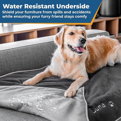 بطانية GoTags للكلاب مخصصة بالاسم، بطانيات صوف مطرزة مخصصة للأريكة والسيارة والسرير والمنزل، بطانية شيربا دافئة وناعمة ومريحة لكلبك أو جرو (كبير) in Kuwait