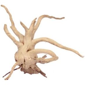 Toddmomy Natural Coral Driftwood, Natural Spiderwood Natural Driftwood Lizard Driftwood for Aquarium Decor(Random One)