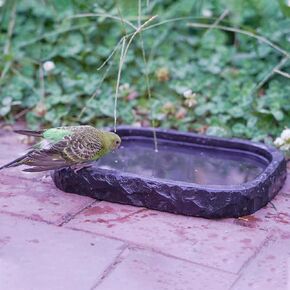 Handmade Natural Stone Bird Bath, Ground Bird Baths for Outdoors, Small Wild Birdbath, Bird Water Bowl and Bird Feeder for Balcony, Patio, Garden or Yard