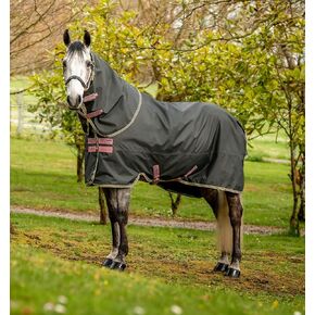 Horseware® Amigo® Hero Ripstop Plus Turnout Horse Blanket (0g Light)