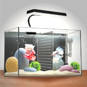 3 Gallon 12.6“L Fish Nano Glass Aquarium, with Separator Plate for Betta, Multi-Functional Square Fish Tank with Filter, LED Light, Black 4mm Glass