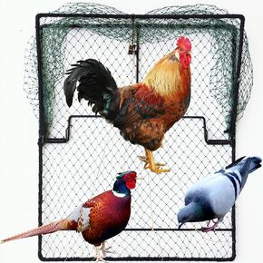 Pigeon Bird Trap 2 Pack Trapping Hunting Quail Cage Sparrow Spring Starling Catching Net Traps for Trapping