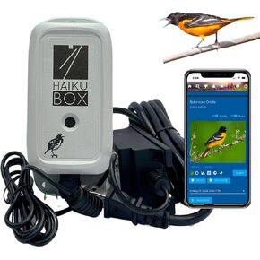 Bird Identifier: Automatic & continuous bird song & call identification using sound. Identify & listen to your birds to boost your birdwatching and birding-by-ear!