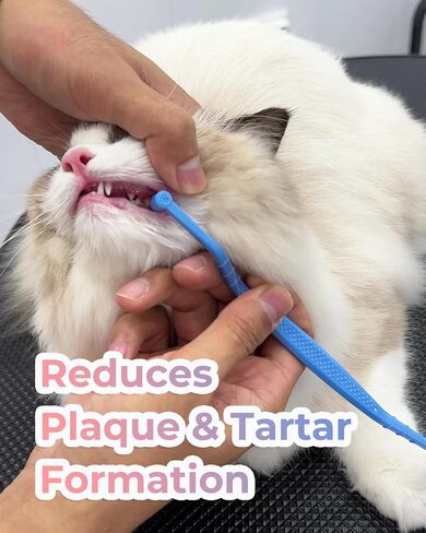 2 Pcs Dual Sided Cat Toothbrush with Micro Brush Head, Anti-Slip Curved Handle, Designed for Small Pets Eliminates Bad Breath and Reduces Plaque Tartar Formation in Saudi Arabia