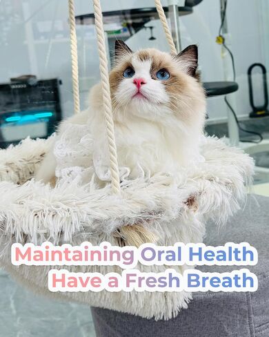 2 Pcs Dual Sided Cat Toothbrush with Micro Brush Head, Anti-Slip Curved Handle, Designed for Small Pets Eliminates Bad Breath and Reduces Plaque Tartar Formation in Saudi Arabia