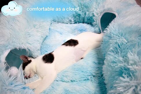 XxingSheep 4 Cave Shuttled XL Cat Tunnel Bed for Indoor Cats Peekaboo Toy Donut with Warm Mat in Saudi Arabia