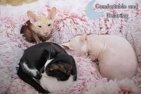 XxingSheep 4 Cave Shuttled XL Cat Tunnel Bed for Indoor Cats Peekaboo Toy Donut with Warm Mat in Saudi Arabia