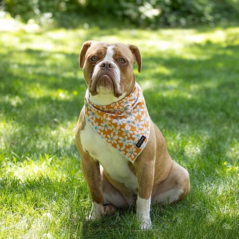 Floral Dog Bandanas Double Layered | Adjustable, Soft, Durable and Breathable Cotton Fabric | Triangle Shape | Double-Sided Design, Floral Dog Bandana. in Saudi Arabia