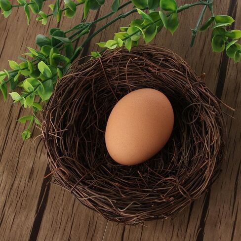 10pcs Natural Rattan Birds Nest Bird Nest Novelty Craft Garden Nature Home House Decoration Handmade in Kuwait