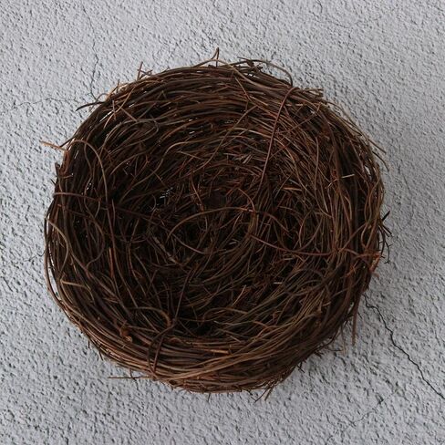 10pcs Natural Rattan Birds Nest Bird Nest Novelty Craft Garden Nature Home House Decoration Handmade in Kuwait
