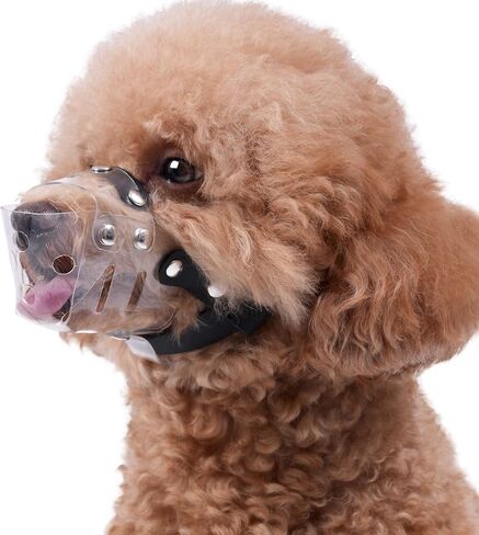 Mayerzon Dog Muzzle, Basket Muzzle for Small Medium Dogs Poodle Dachshund Corgi, Clear Puppy Mouth Cover for Grooming Vet Visits to Prevent Biting Chewing Scavenging, Allow Panting Drinking in Saudi Arabia