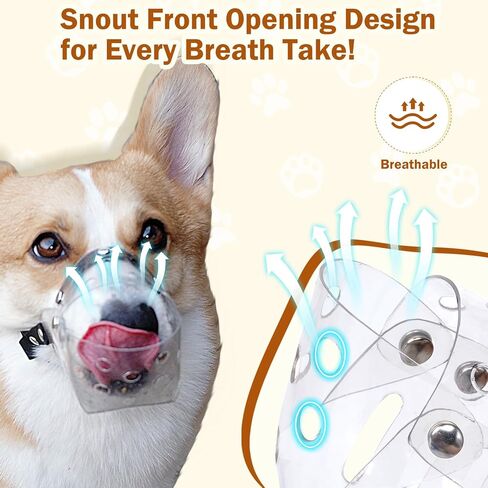 Mayerzon Dog Muzzle, Basket Muzzle for Small Medium Dogs Poodle Dachshund Corgi, Clear Puppy Mouth Cover for Grooming Vet Visits to Prevent Biting Chewing Scavenging, Allow Panting Drinking in Saudi Arabia