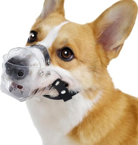 Mayerzon Dog Muzzle, Basket Muzzle for Small Medium Dogs Poodle Dachshund Corgi, Clear Puppy Mouth Cover for Grooming Vet Visits to Prevent Biting Chewing Scavenging, Allow Panting Drinking in Saudi Arabia