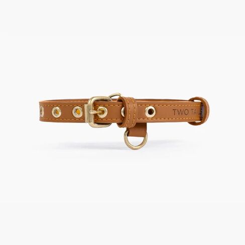 Cactus Leather Dog Collar - Eco-Friendly, Stylish, Easy-to-Clean Pet Collar with Gold Hardware, D-Rings for Leash & ID Tag (Small, Green) in Saudi Arabia