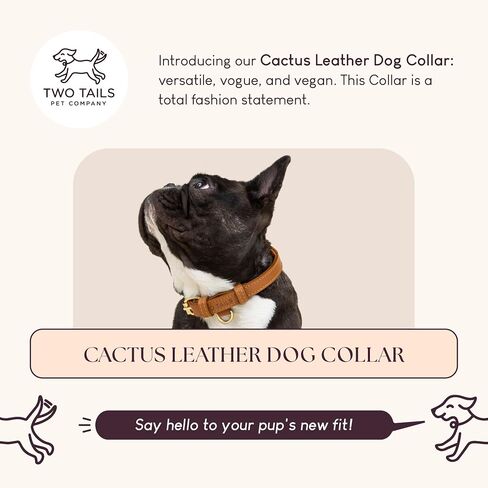 Cactus Leather Dog Collar - Eco-Friendly, Stylish, Easy-to-Clean Pet Collar with Gold Hardware, D-Rings for Leash & ID Tag (Small, Green) in Saudi Arabia