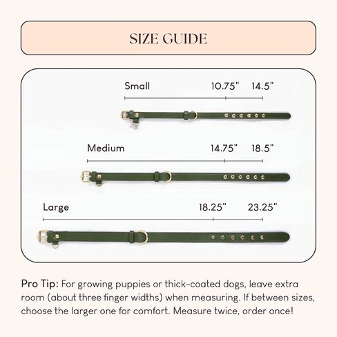 Cactus Leather Dog Collar - Eco-Friendly, Stylish, Easy-to-Clean Pet Collar with Gold Hardware, D-Rings for Leash & ID Tag (Small, Green) in Saudi Arabia