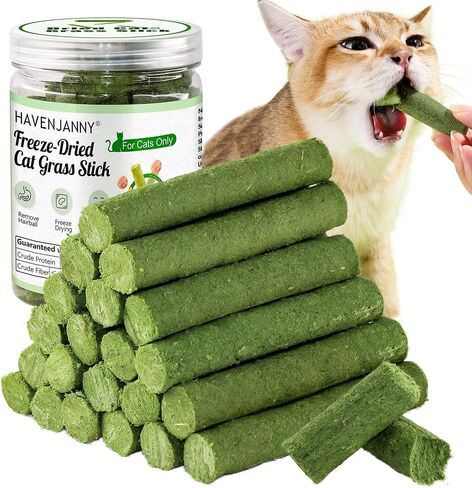 HavenJanny Cat Grass Teething Stick for Cat, Cat Grass Stick Canned for Indoor Cats, Cat Grass Treats Hairball Relief and Teeth Cleaning (3.52oz) in Saudi Arabia