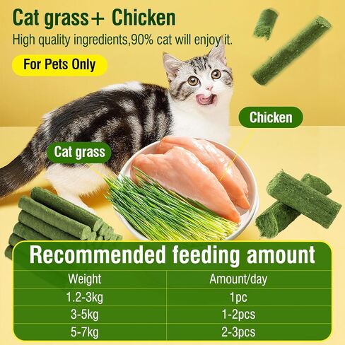 HavenJanny Cat Grass Teething Stick for Cat, Cat Grass Stick Canned for Indoor Cats, Cat Grass Treats Hairball Relief and Teeth Cleaning (3.52oz) in Saudi Arabia