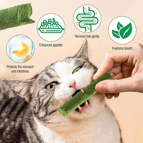 HavenJanny Cat Grass Teething Stick for Cat, Cat Grass Stick Canned for Indoor Cats, Cat Grass Treats Hairball Relief and Teeth Cleaning (3.52oz) in Saudi Arabia