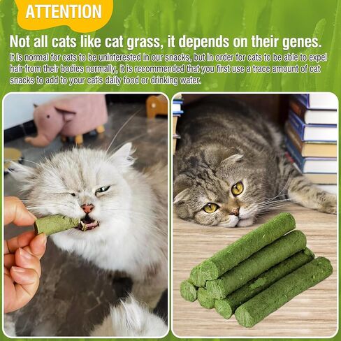 HavenJanny Cat Grass Teething Stick for Cat, Cat Grass Stick Canned for Indoor Cats, Cat Grass Treats Hairball Relief and Teeth Cleaning (3.52oz) in Saudi Arabia