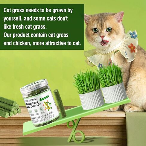 HavenJanny Cat Grass Teething Stick for Cat, Cat Grass Stick Canned for Indoor Cats, Cat Grass Treats Hairball Relief and Teeth Cleaning (3.52oz) in Saudi Arabia