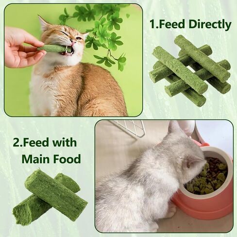 HavenJanny Cat Grass Teething Stick for Cat, Cat Grass Stick Canned for Indoor Cats, Cat Grass Treats Hairball Relief and Teeth Cleaning (3.52oz) in Saudi Arabia