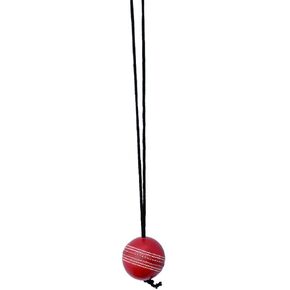 Naqqash Sports Willow Cricket Hanging Ball for Bat Knocking and Practice, 1 Hard Ball