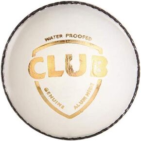 SG Club Leather Ball, Four Pitch (White) cricket ball