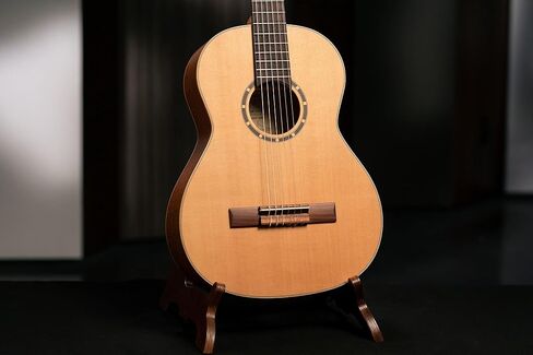 Ortega Guitars 6 String Family Series 3/4 Size Nylon Classical Guitar w/Bag, Right, Cedar Top-Natural-Gloss, (R122G-3/4) in Saudi Arabia