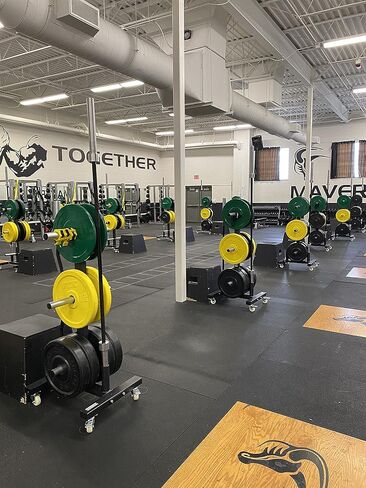 CFF Olympic 2 Bar وشجرة لوحة ممتصة للصدمات للأوزان - رف تخزين وزن متنقل بسعة 1000 رطل مع عجلات. مثالي لأي صالة ألعاب رياضية تجارية، أو مركز تدريب اللياقة البدنية، أو صالة الألعاب الرياضية المنزلية in Kuwait