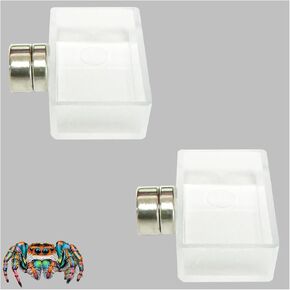 2 PCS Jumping Spider Feeding Dish, Tiny Food Dishes Water Dish for Jumping Spider, Tarantula and Other Small Pets,Transparent