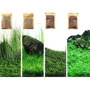 4 Pack Aquarium Plant S.e.e.ds, no Artificial Plastic Plant, Fish Tank Live Grass for All Substrate (0.36ozTiny+0.36oz Long+0.36oz Short+0.36oz Big Dual) ZQV-005