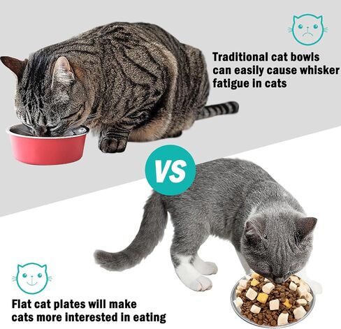 2PCS Stainless Steel Cat Bowls, 5.5" Dia Shallow Cats Water Food Dish Replacement Whisker Fatigue Relief Plate Stackable Metal Pet Feeding Bowl Basic Bulk for Puppy Dogs Elevated Stand in Saudi Arabia