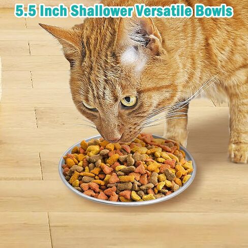 2PCS Stainless Steel Cat Bowls, 5.5" Dia Shallow Cats Water Food Dish Replacement Whisker Fatigue Relief Plate Stackable Metal Pet Feeding Bowl Basic Bulk for Puppy Dogs Elevated Stand in Saudi Arabia