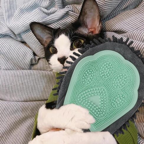 Grooming Gloves for Dogs and Cats - Paw Cleaning Mitt, Pet Hair Removal Glove, Suitable for Long/Short/Poodle Fur (Green) in Saudi Arabia