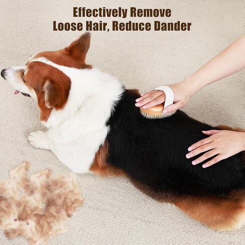 Soft Boar Bristle Pet Palm Brush for Short Haired Dogs and Cats with Band, Reduce Shedding, Ergonomic Dog Brush, Easy to Hold and Reduces Stress On Your Wrist | Ideal for Daily Grooming in Saudi Arabia