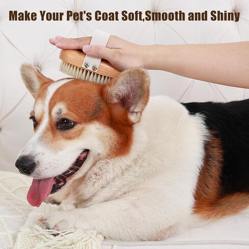 Soft Boar Bristle Pet Palm Brush for Short Haired Dogs and Cats with Band, Reduce Shedding, Ergonomic Dog Brush, Easy to Hold and Reduces Stress On Your Wrist | Ideal for Daily Grooming in Saudi Arabia