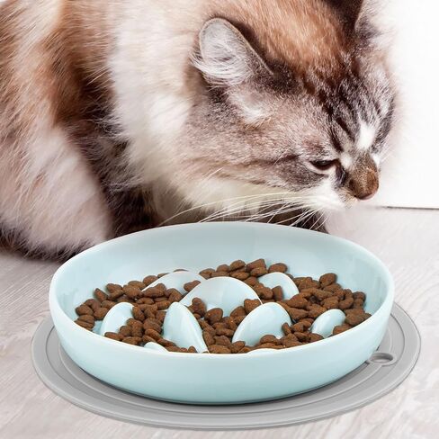 Slow Feeder cat Bowl, with Non-Slip Mat Ceramic Cat Puzzle Feeder Slow Eating Cat Dog Food Bowl Higher Edges Slow Feeder Cat Bowl for Kitten Puppy Healthy Eating in Saudi Arabia