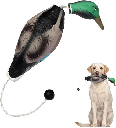 لعبة البطة من Heuyrao لتدريب الكلاب على صيد الطيور المائية، لعبة البطة الرغوية التفاعلية للكلاب، تحاكي ألعاب البطة الميتة الممتصة للصدمات مناسبة للجراء أو كلاب الصيد البالغة in Kuwait