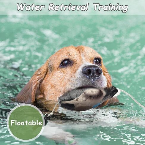 لعبة البطة من Heuyrao لتدريب الكلاب على صيد الطيور المائية، لعبة البطة الرغوية التفاعلية للكلاب، تحاكي ألعاب البطة الميتة الممتصة للصدمات مناسبة للجراء أو كلاب الصيد البالغة in Kuwait