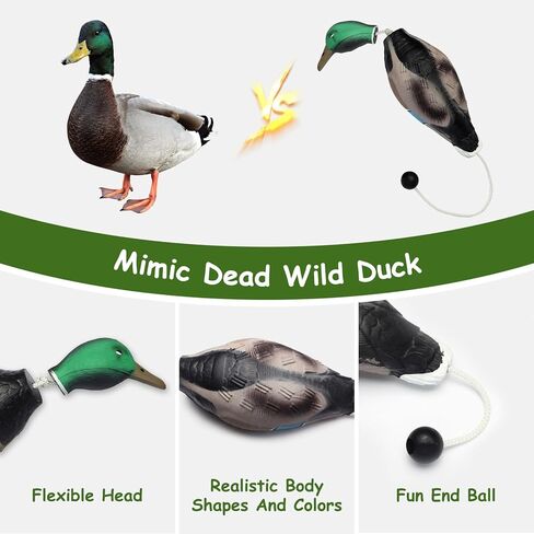 لعبة البطة من Heuyrao لتدريب الكلاب على صيد الطيور المائية، لعبة البطة الرغوية التفاعلية للكلاب، تحاكي ألعاب البطة الميتة الممتصة للصدمات مناسبة للجراء أو كلاب الصيد البالغة in Kuwait